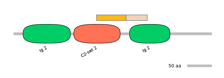 MmuINT0012629-EXC