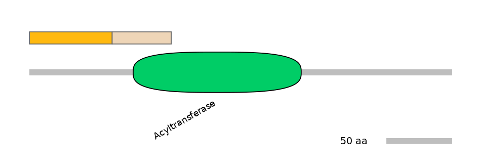 MmuINT0012723-EXC