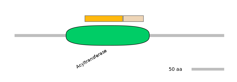 MmuINT0012725-EXC