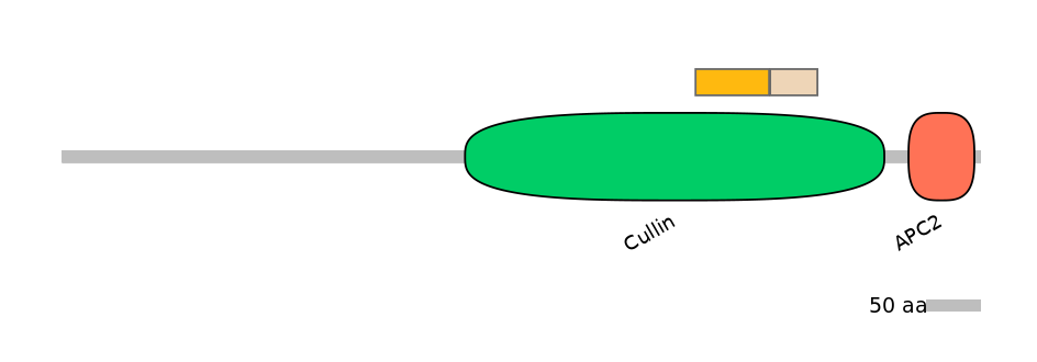 MmuINT0014907-EXC
