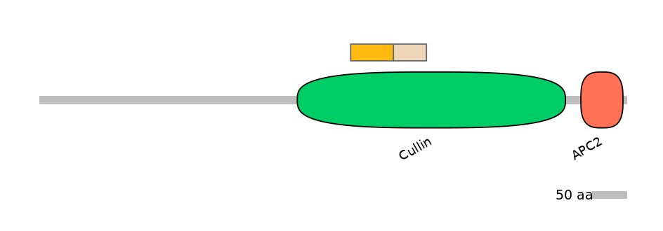 MmuINT0014915-EXC