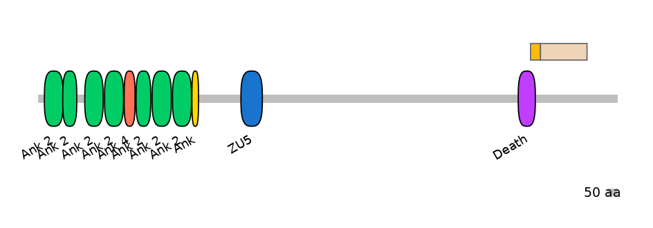 MmuINT0015160-EXC