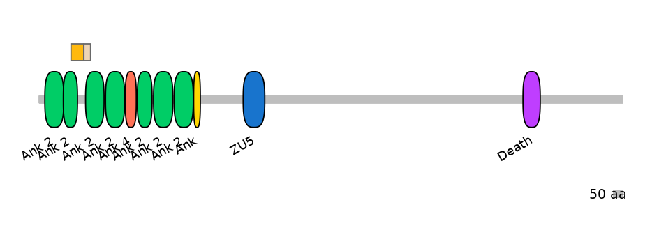 MmuINT0015163-EXC