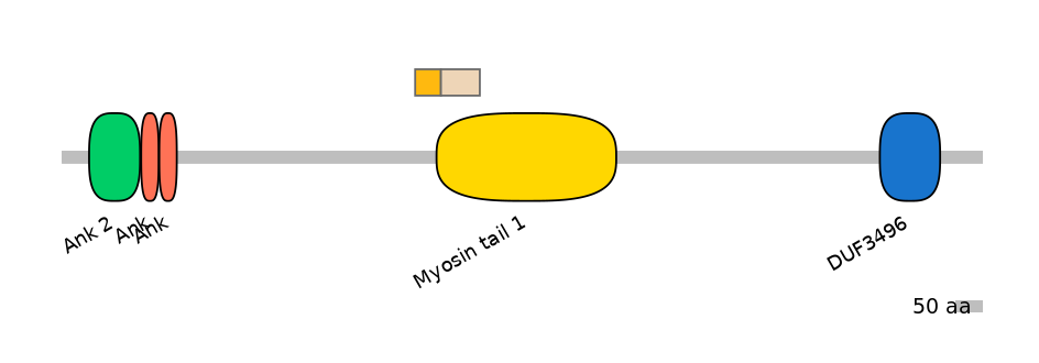 MmuINT0015547-EXC