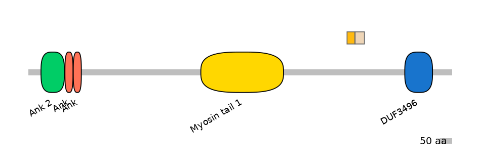 MmuINT0015554-EXC