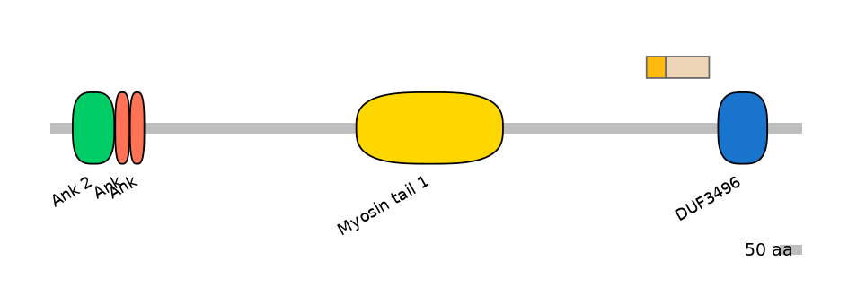 MmuINT0015556-EXC