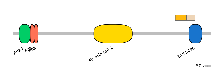 MmuINT0015558-EXC