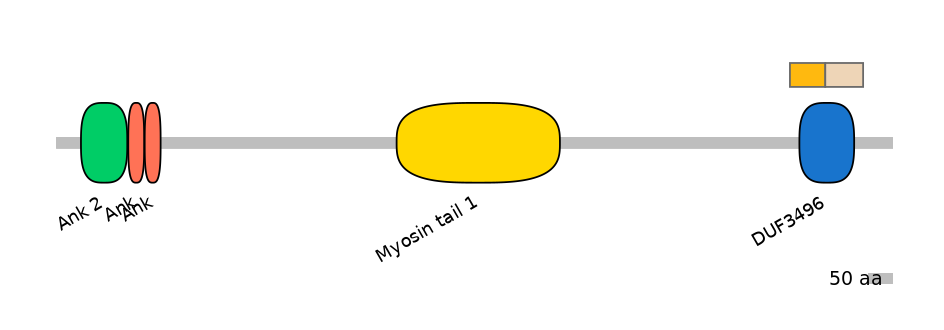 MmuINT0015559-EXC