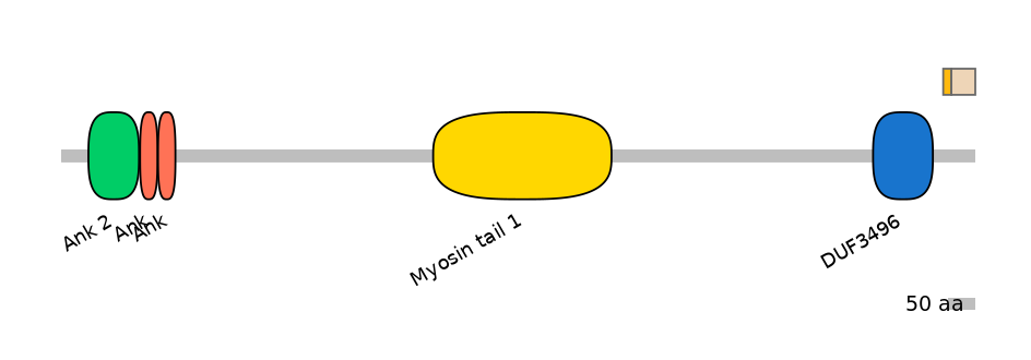 MmuINT0015561-EXC