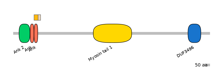 MmuINT0015562-EXC
