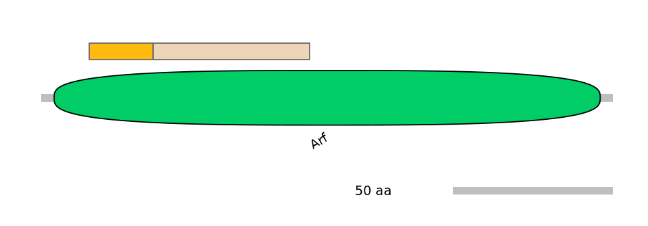 MmuINT0018929-EXC