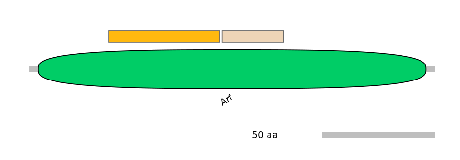 MmuINT0018930-EXC