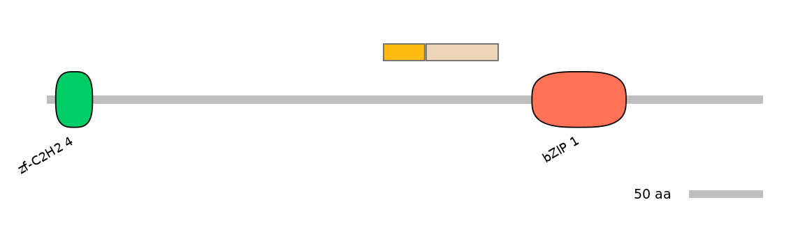 MmuINT0020232-EXC