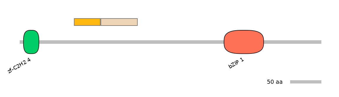 MmuINT0020241-EXC