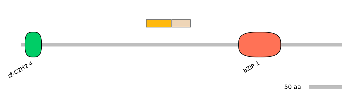 MmuINT0020243-EXC