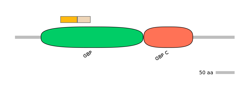 MmuINT0020612-EXC