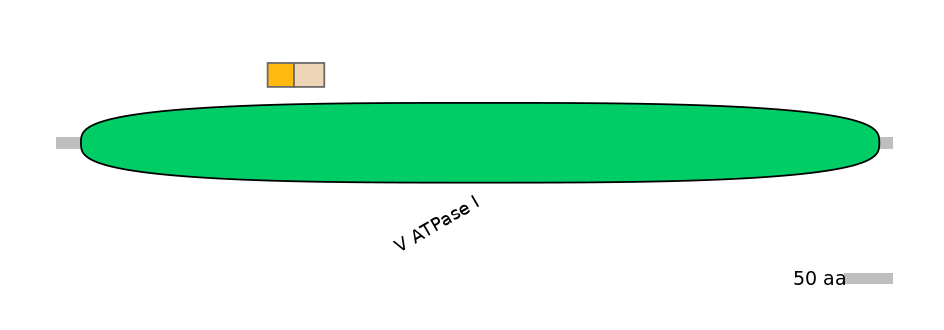 MmuINT0021510-EXC