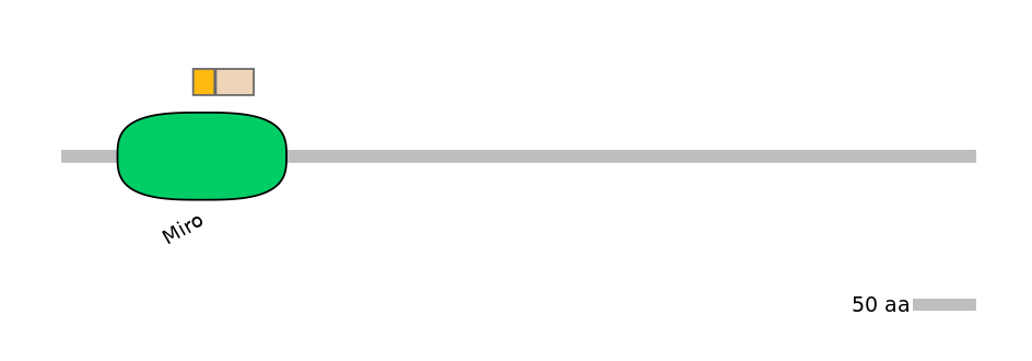 MmuINT0022522-EXC