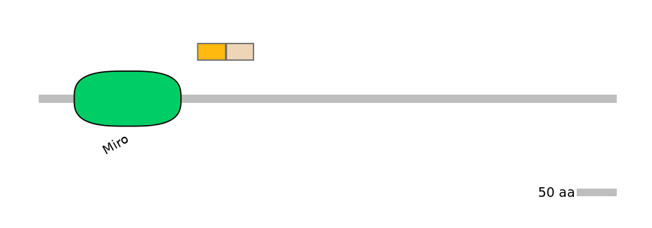 MmuINT0022525-EXC