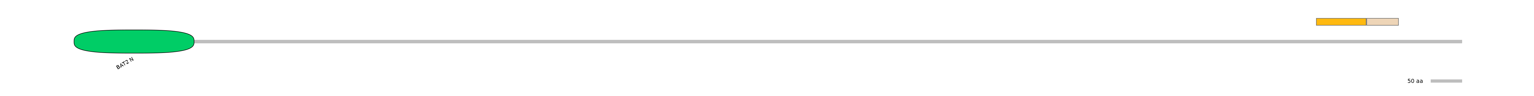 MmuINT0023962-EXC