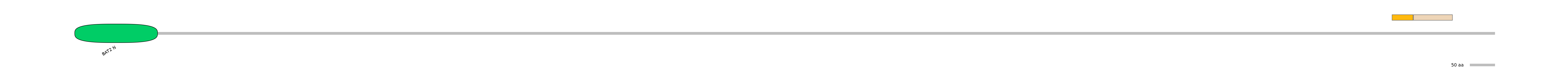 MmuINT0024002-EXC