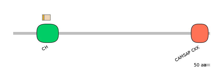 MmuINT0028503-EXC