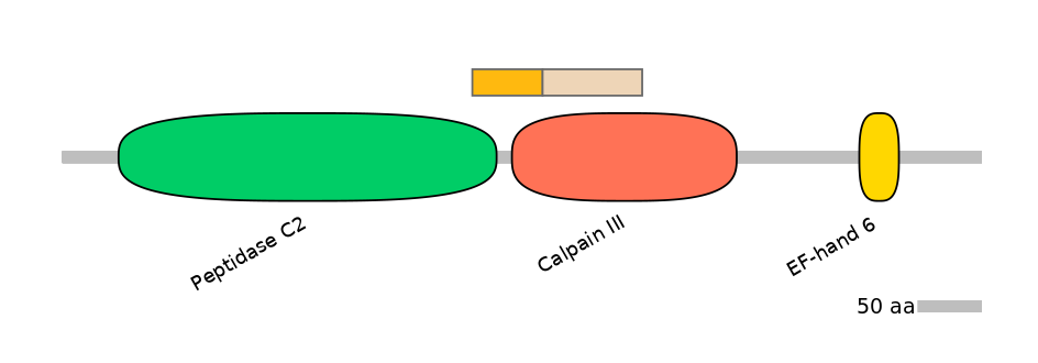 MmuINT0028707-EXC
