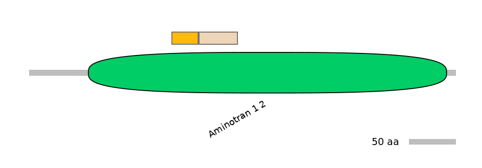 MmuINT0030005-EXC