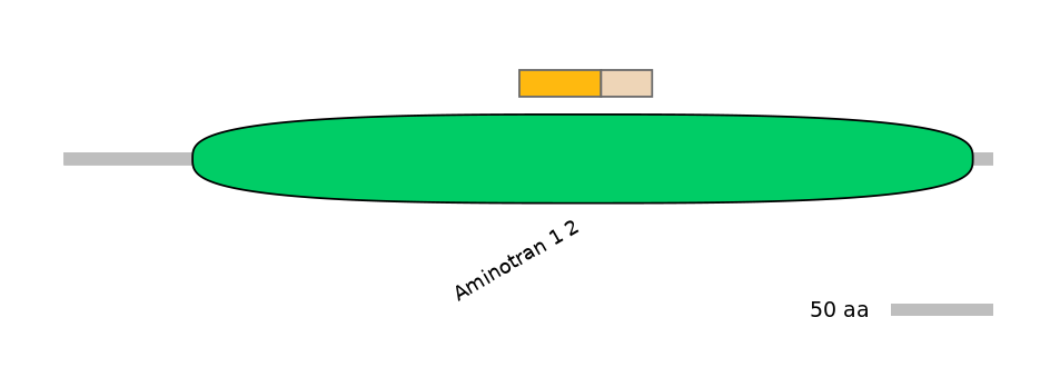 MmuINT0030007-EXC