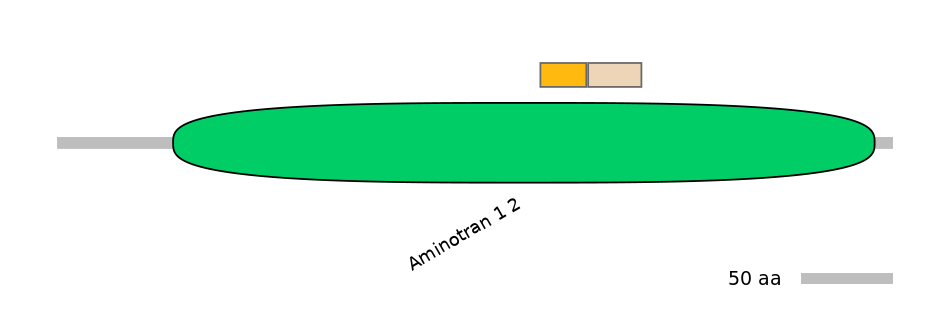 MmuINT0030008-EXC