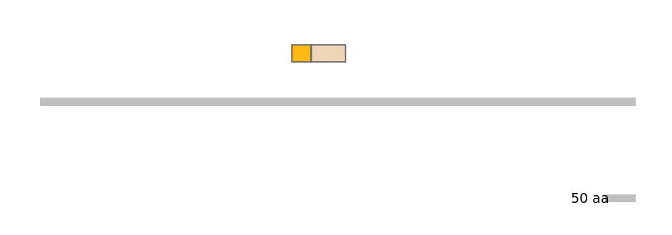 MmuINT0030404-EXC