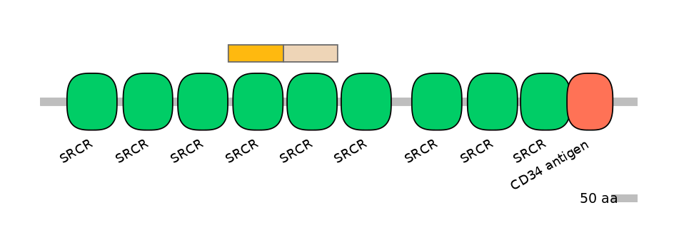 MmuINT0032009-EXC