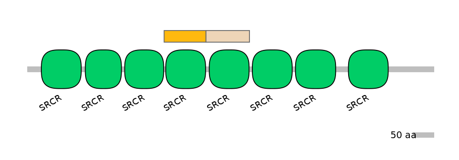 MmuINT0032021-EXC