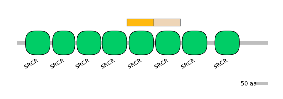 MmuINT0032022-EXC