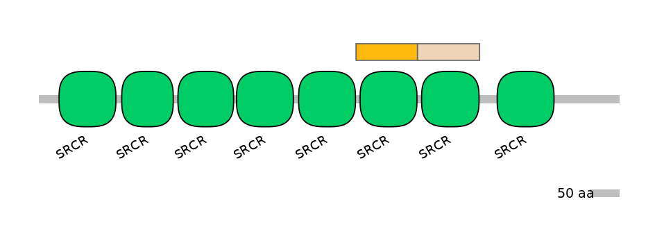 MmuINT0032023-EXC