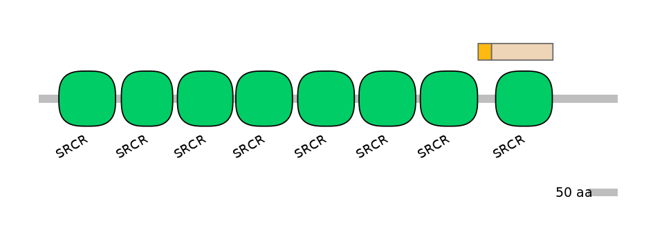 MmuINT0032025-EXC