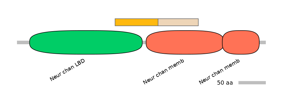 MmuINT0036208-EXC