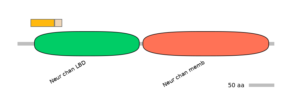MmuINT0036222-EXC