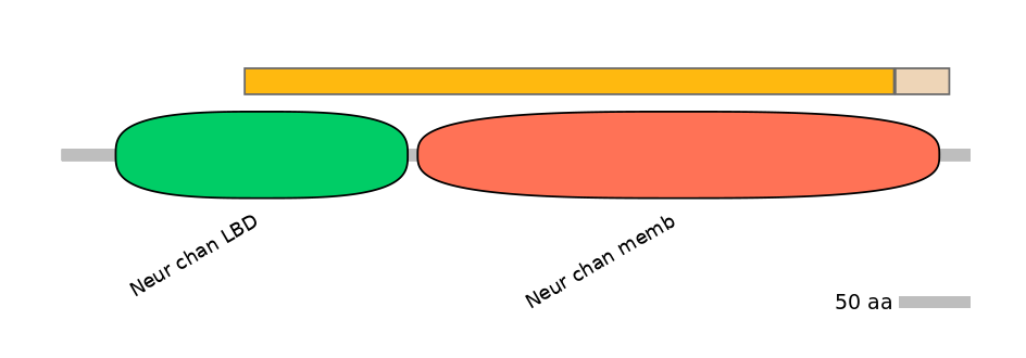MmuINT0036230-EXC