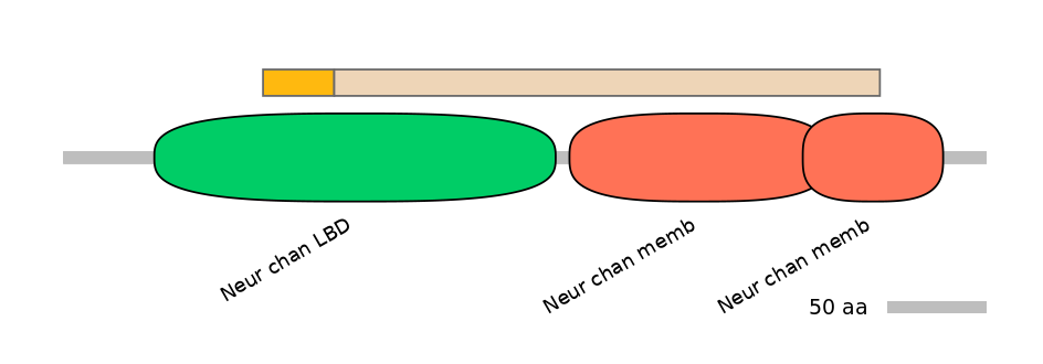 MmuINT0036234-EXC