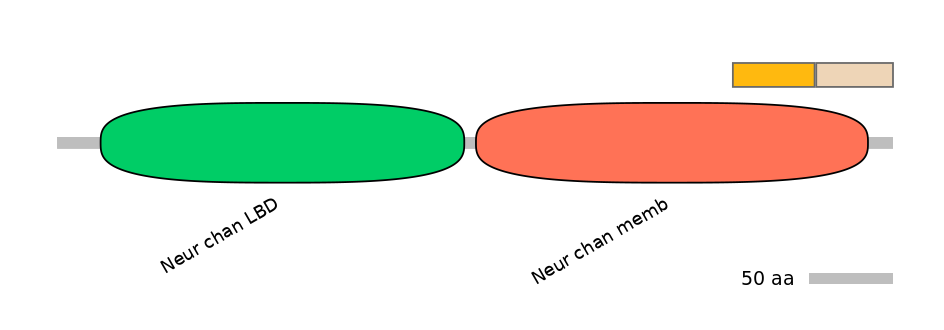 MmuINT0036255-EXC