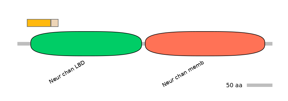 MmuINT0036256-EXC