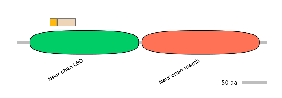 MmuINT0036257-EXC