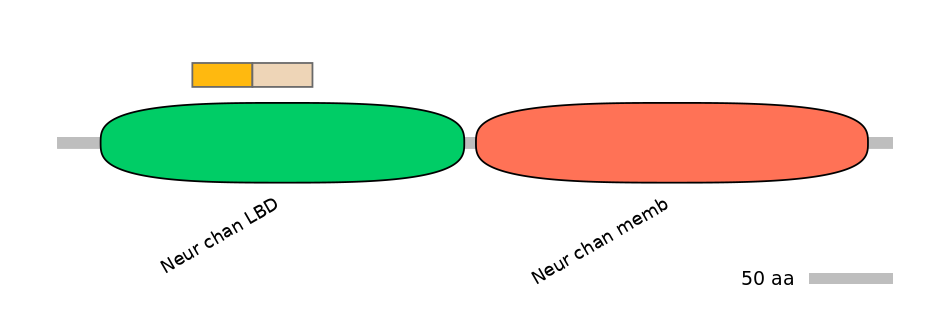 MmuINT0036258-EXC