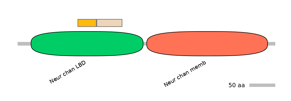 MmuINT0036259-EXC