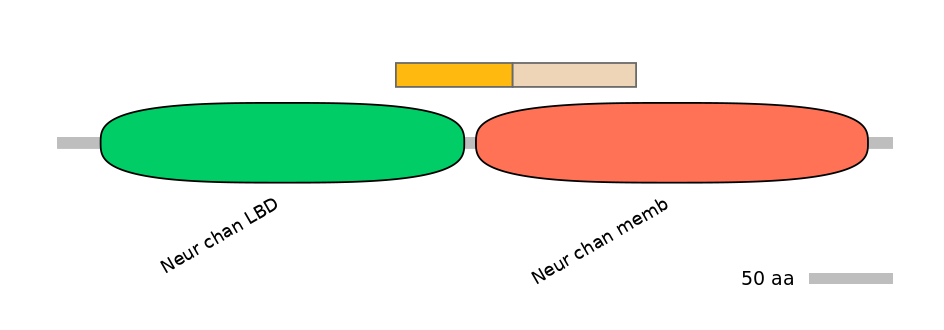 MmuINT0036261-EXC