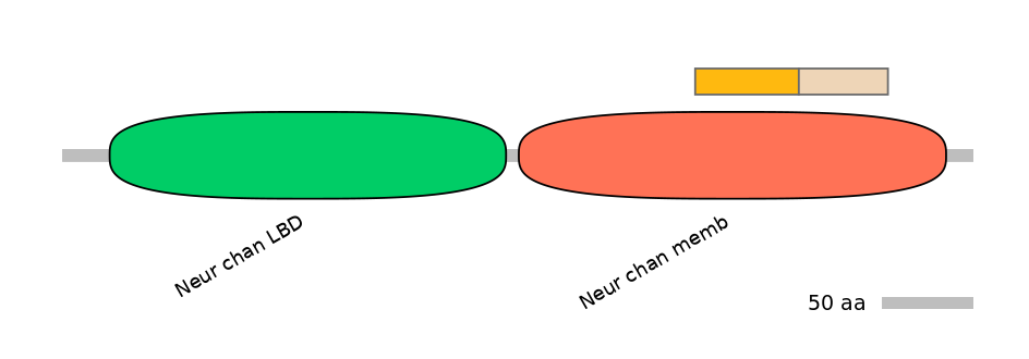 MmuINT0036263-EXC