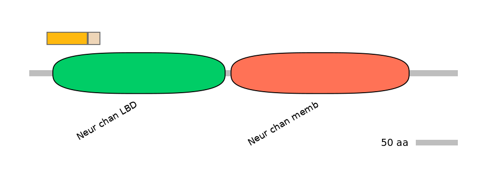 MmuINT0036265-EXC
