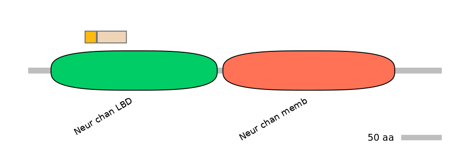 MmuINT0036266-EXC