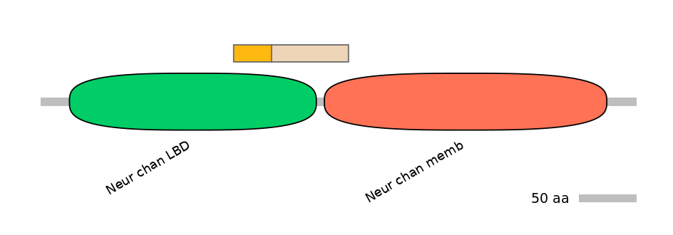 MmuINT0036309-EXC